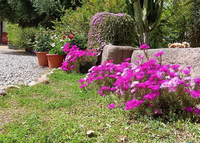 Sulcis Camere