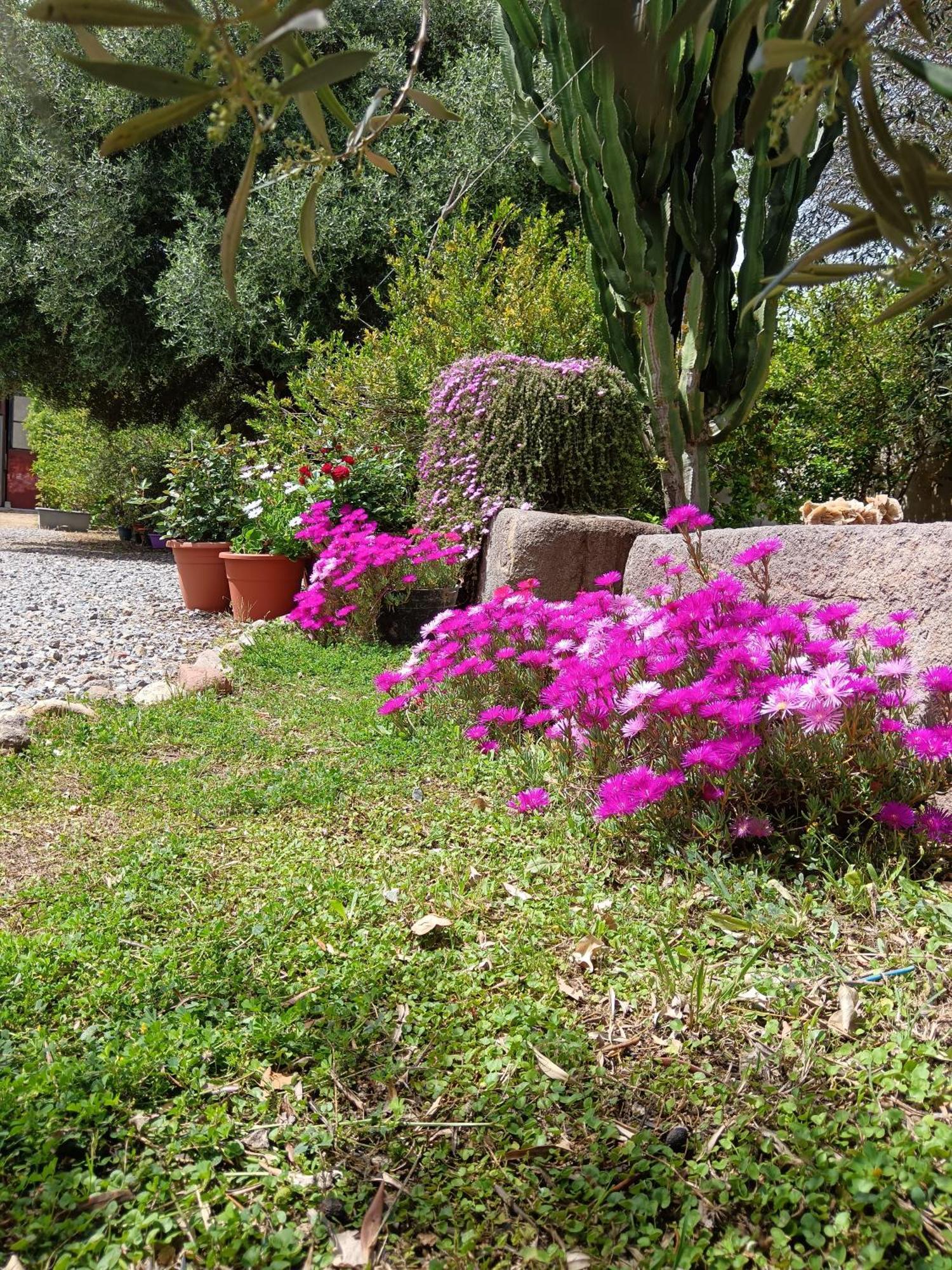 Sulcis Homestay